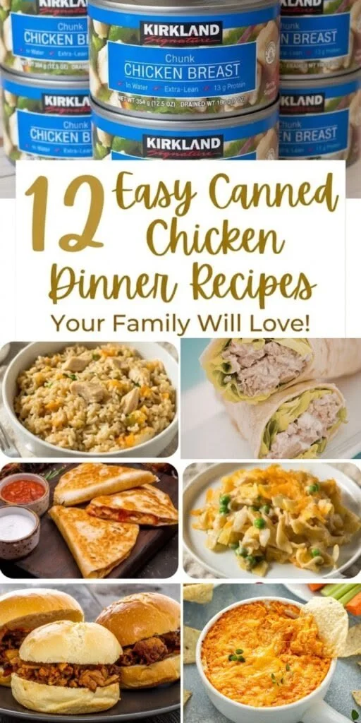 Delicious meals made with canned chicken for quick and easy recipes