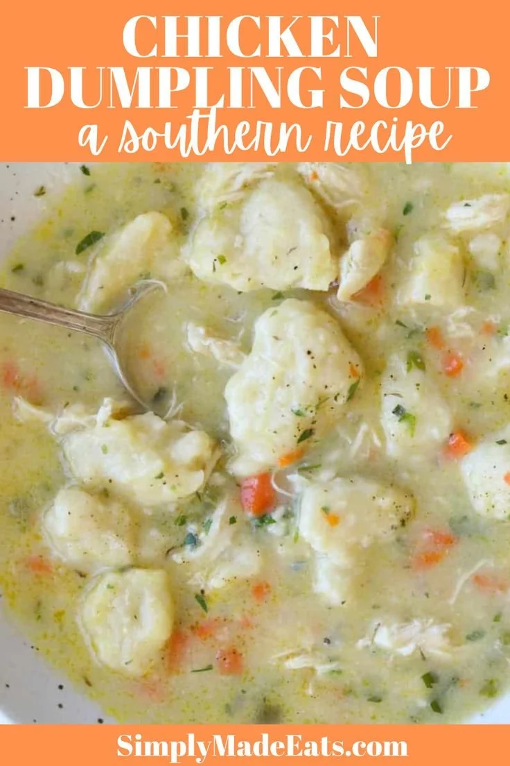 Bowl of Chicken Dumpling Soup with vegetables and dumplings