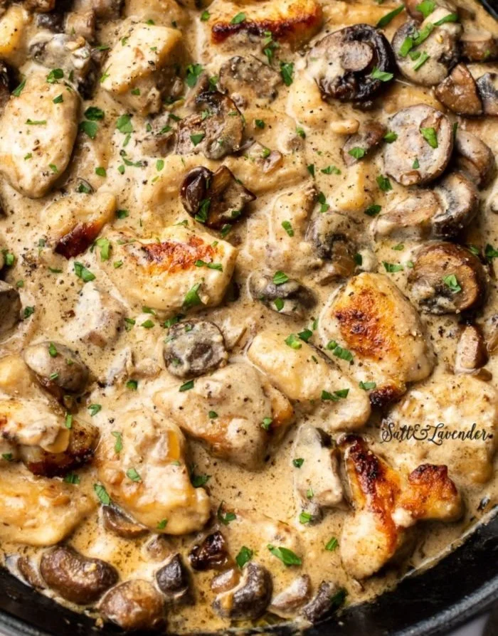 Delicious Chicken Stroganoff served with noodles and fresh herbs