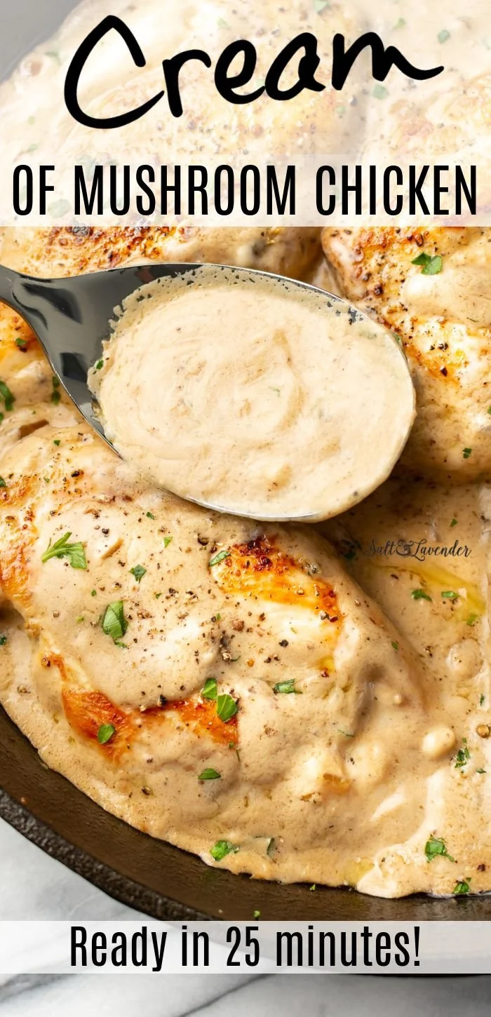 Creamy mushroom chicken dish garnished with herbs on a white plate