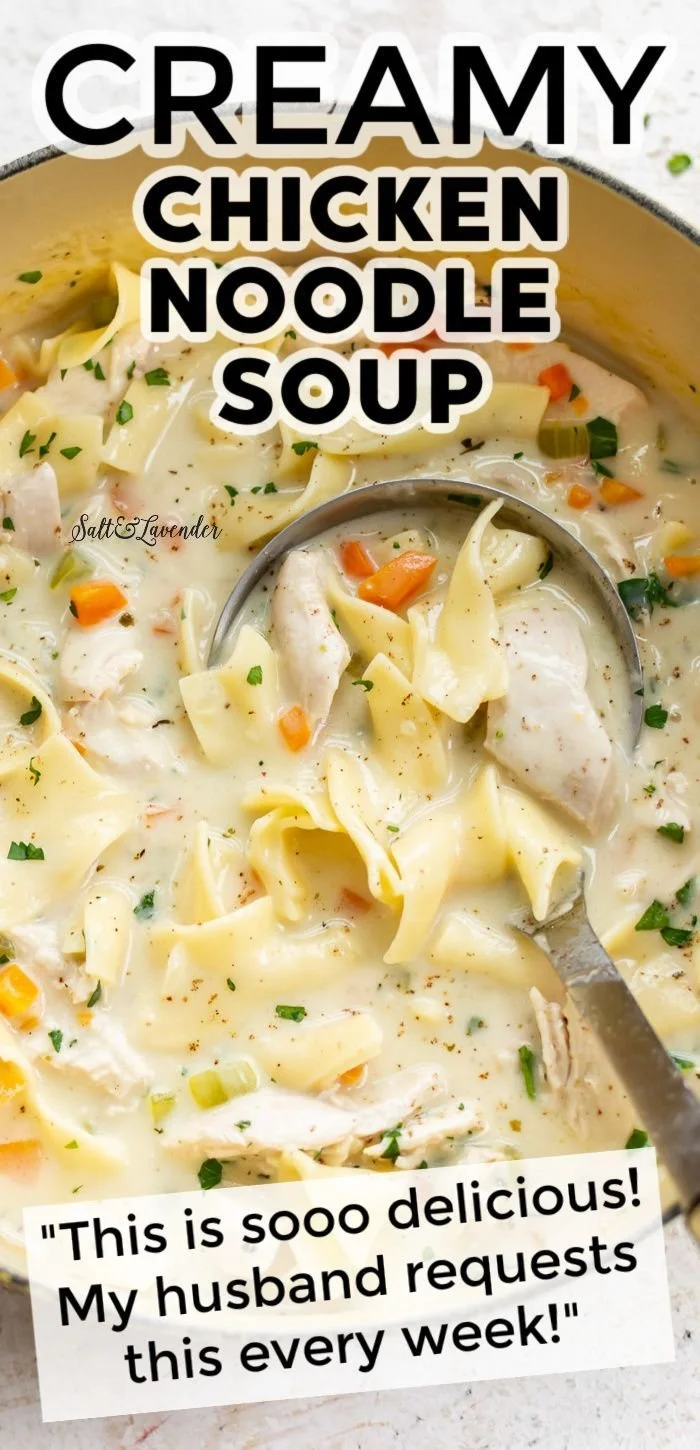 Bowl of easy creamy chicken noodle soup with vegetables and noodles