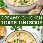 easy creamy chicken tortellini soup house of nas 2026 07 22 211915 488x1024 1