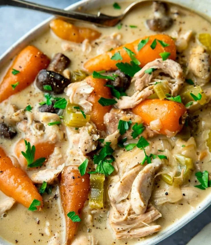 Delicious easy slow-cooked chicken casserole ready to serve on a plate.