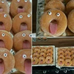 funny donuts 2026 07 22 211904 1