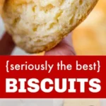 homemade biscuits the best biscuit recipe 2026 07 22 211727 462x1024 1