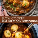 slow cooker beef stew and dumplings 2026 07 26 234525 512x1024 1