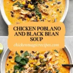 chicken poblano soup 30 minute cozy dinner magic 2026 08 07 182632 576x1024 1