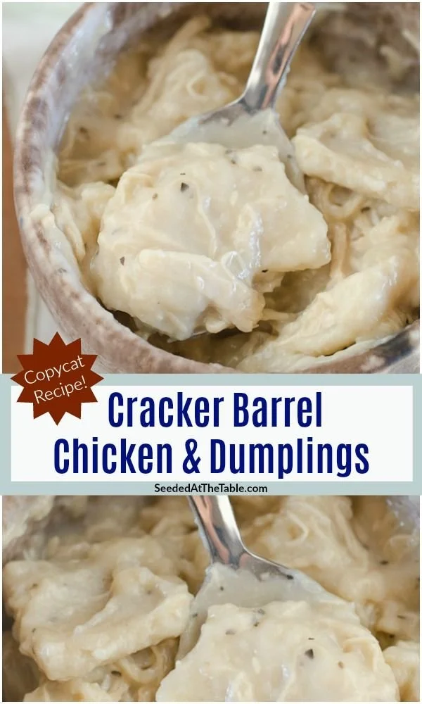 Delicious bowl of Copycat Cracker Barrel Chicken and Dumplings