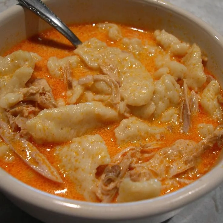Delicious Chicken Paprikash with dumplings served in a bowl