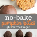 no bake pumpkin bites 2026 08 06 183433 410x1024 1