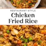 restaurant style chicken fried rice 2026 08 06 183425 569x1024 1