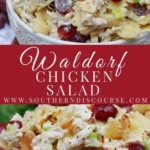 waldorf chicken pasta salad 2026 08 06 183301 512x1024 1
