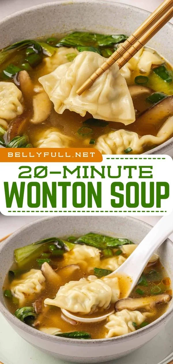 Bowl of wonton soup with dumplings, green onions, and broth